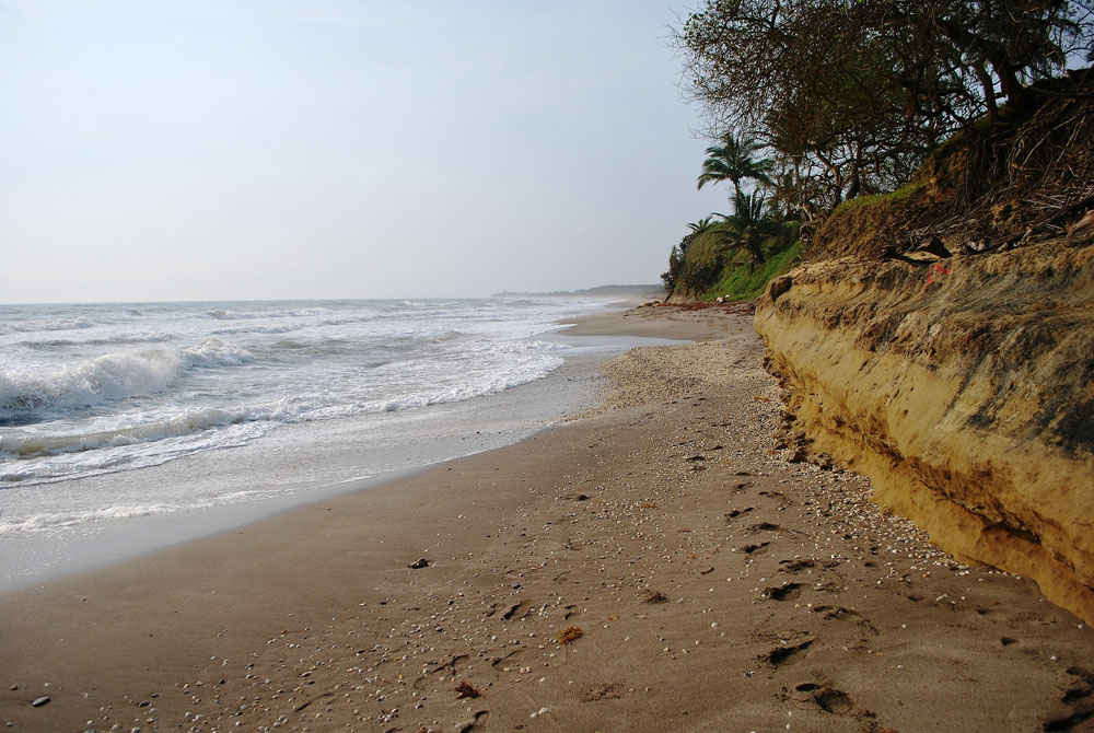 Nota sobre Degusta de la buena música y una vista espectacular en Barra de Cazones, Veracruz