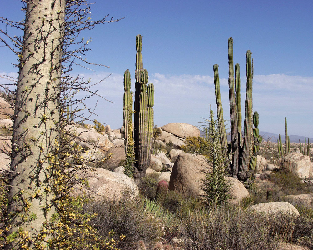 Nota sobre Visita paisajes majestuosos en el Tour Baja Grape Adventure