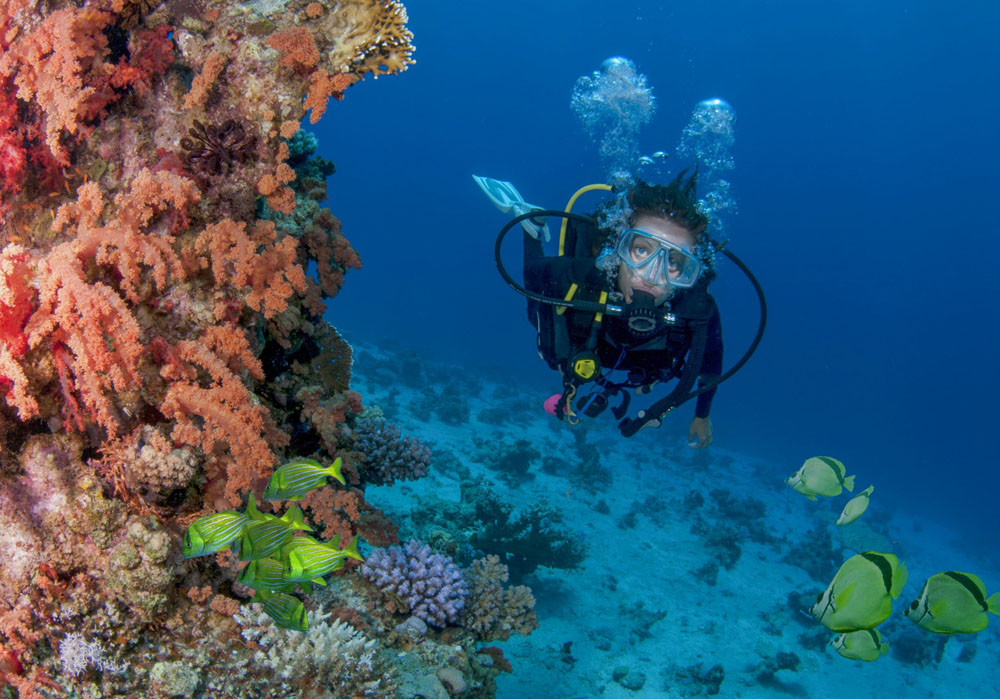 Nota sobre El buceo industrial