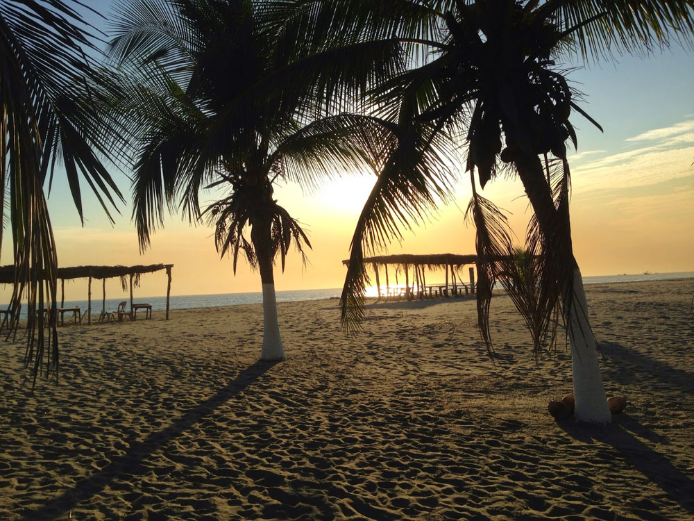 Nota sobre Conoce las playas destacadas del Pacifico Mexicano