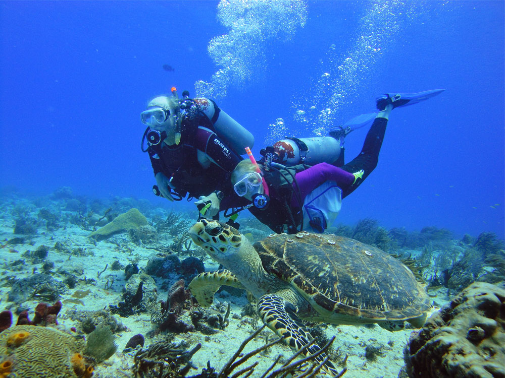 Nota sobre Buceo en Cancún, una actividad para los más arriesgados