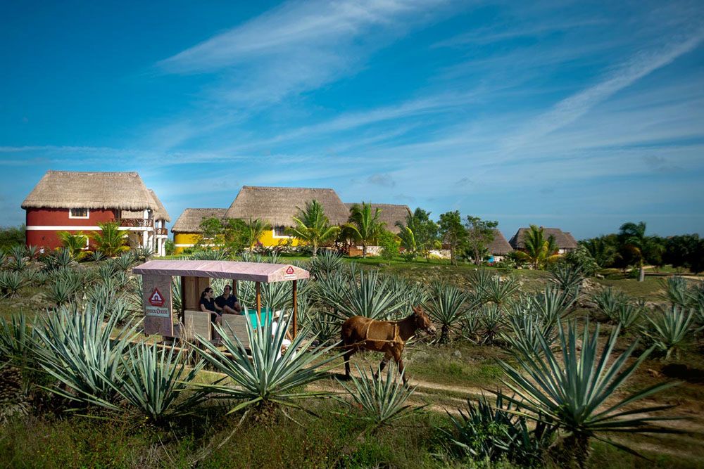 Nota sobre Conoce la Hacienda Sotuta de Peón en Yucatán