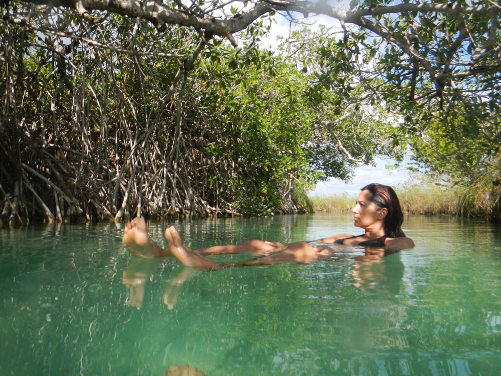 Nota sobre Reserva de la Biosfera Sian Ka'an en Quintana Roo