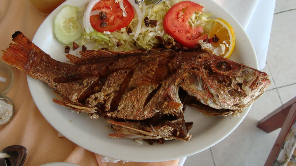 Nota sobre Los mágicos rincones de Rincón de Guayabitos