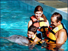 Nota sobre Dolphin Encounter en Cozumel"Dolphin Discovery"