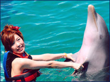 Nota sobre Dolphin Encounter en Isla Mujeres Dolphin Discovery