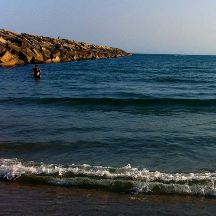 Nota sobre Secretos de las playas de Puerto Vallarta 