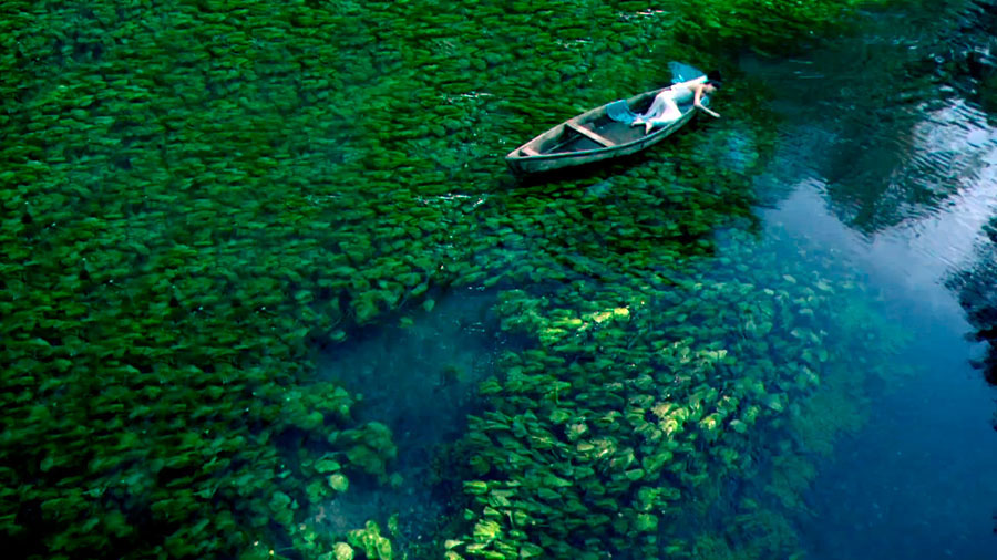 Nota sobre Reserva de la biosfera de Calakmul, Campeche