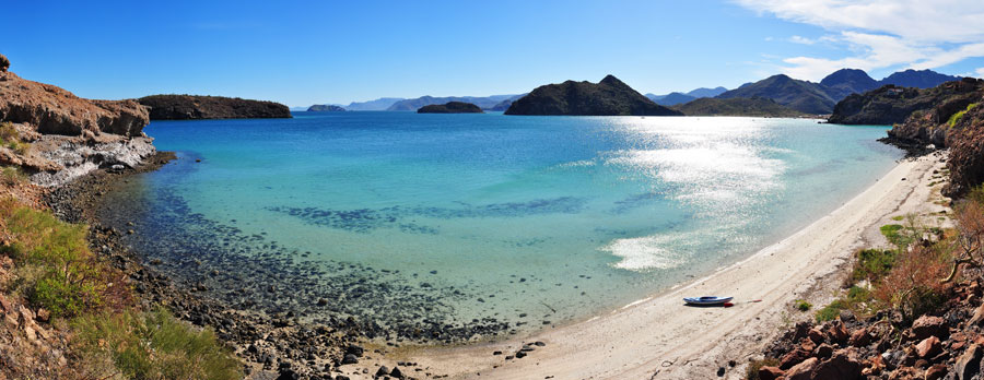 Nota sobre Reserva de la biosfera El Vizcaíno, Baja California Sur