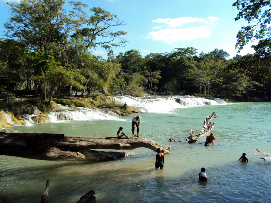 Nota sobre Reserva Ecológica Villa Luz, Tabasco