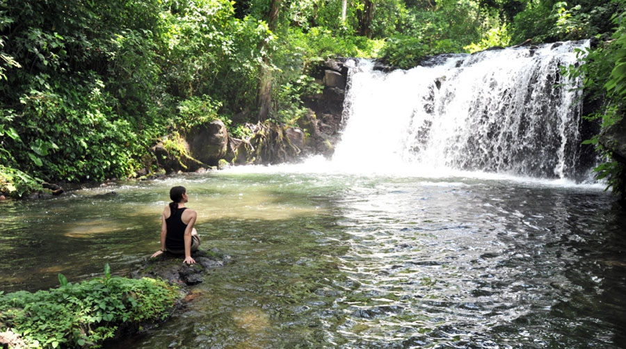 Nota sobre Reserva de la Biósfera Los Tuxtlas, Veracruz