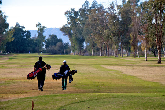 Nota sobre Club de Golf Bajamar Ocean Front Golf Resort, Baja California