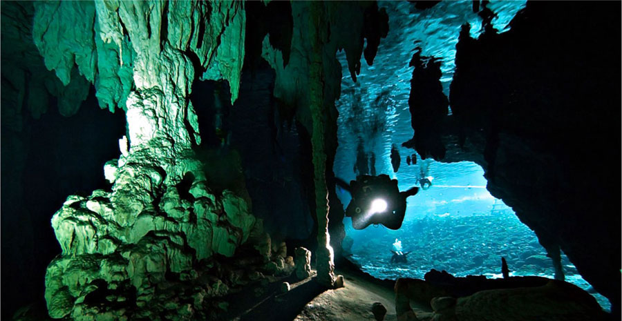 Nota sobre Cenotes en Yucatán, tesoros de la naturaleza mexicana