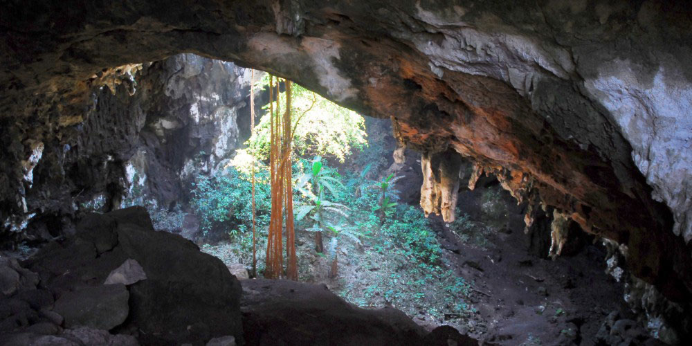 Nota sobre San Crisanto, aventura en los manglares