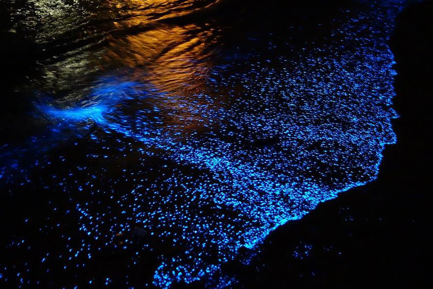 Nota sobre Chacahua y sus olas bioluminiscentes