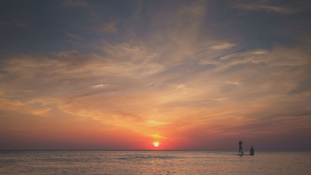 Nota sobre Las 5 mejores playas de Puerto Vallarta