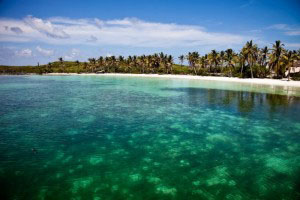 Nota sobre Isla mexicana sólo permite 200 visitantes al día