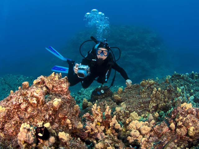 Nota sobre Practica el buceo en Playa del Carmen