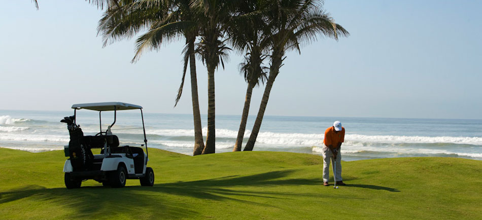 Nota sobre Tu playa perfecta está en Ixtapa