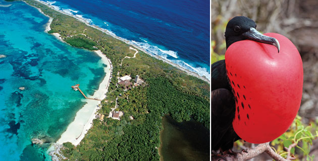 Nota sobre Isla Contoy, Quintana Roo (para buscar a la fragata de pecho rojo)