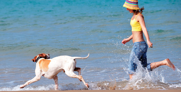 Nota sobre Acapulco, Guerrero playa, atardecer... ¡y tu mascota!