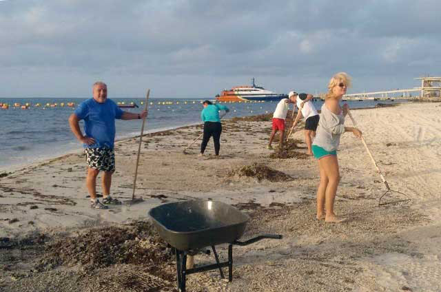 Nota sobre Hospital y marcaje satelital para tortugas en la Riviera Maya