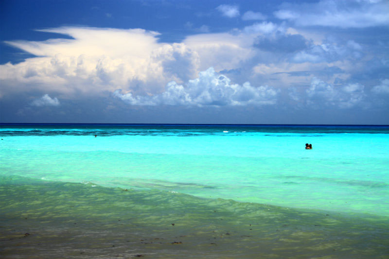 Nota sobre Una ruta para hacer en coche en la Riviera Maya por 10 playas y cenotes