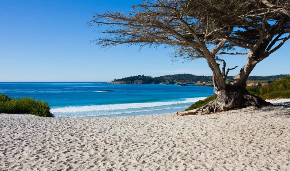 Imagen de Carmel Beach (California)