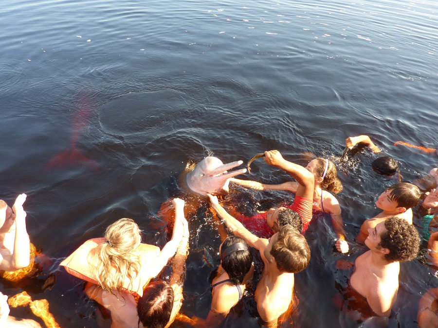 Nota sobre Nadar con delfines rosados en el Amazonas, una experiencia inolvidable