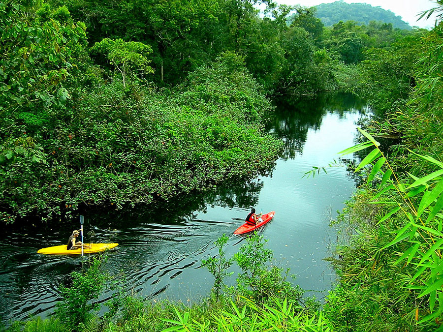 Nota sobre El ecoturismo en Costa Rica es rentable