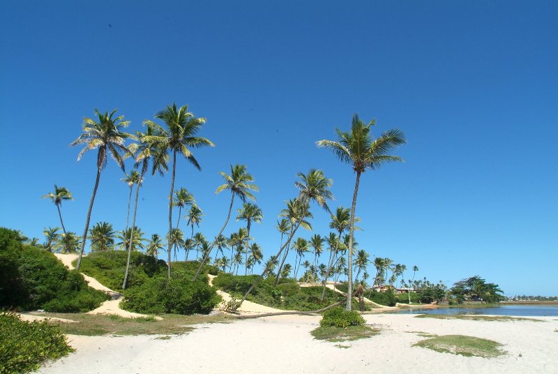 Nota sobre Isla Saona, lo m&aacute;s ex&oacute;tico de Punta Cana