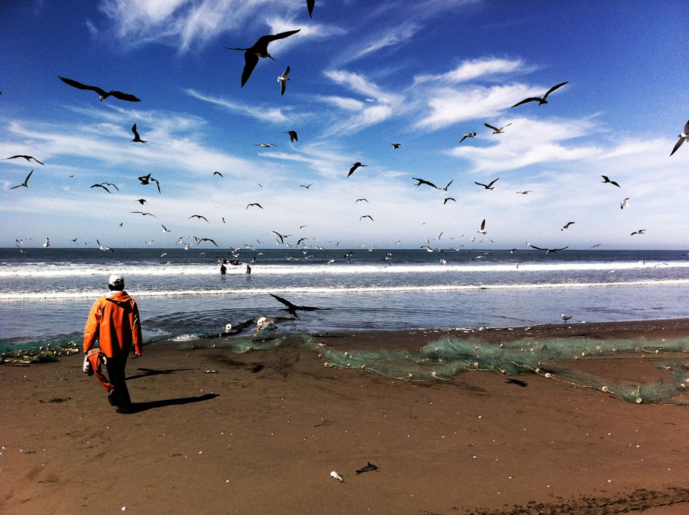 Imagen de Playa Gaviotas