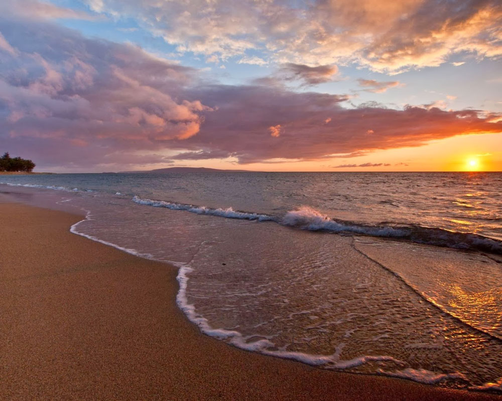 Imagen de Playa Gaviotas