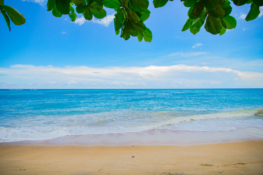 Nota sobre Disfruta del mar en todo su esplendor en Playa Azul, Michoacán