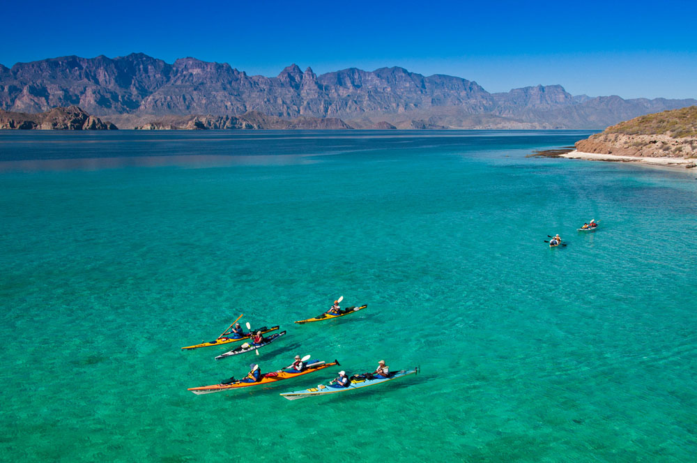 Nota sobre Mar de Cortés, aguas paradisíacas en Baja California Sur