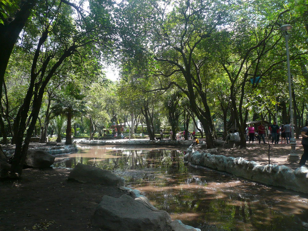 Nota sobre Actividades y deportes en La Colonia Condesa