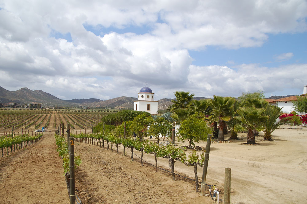 Nota sobre Fin de semana en Valle de Guadalupe y sus alrededores