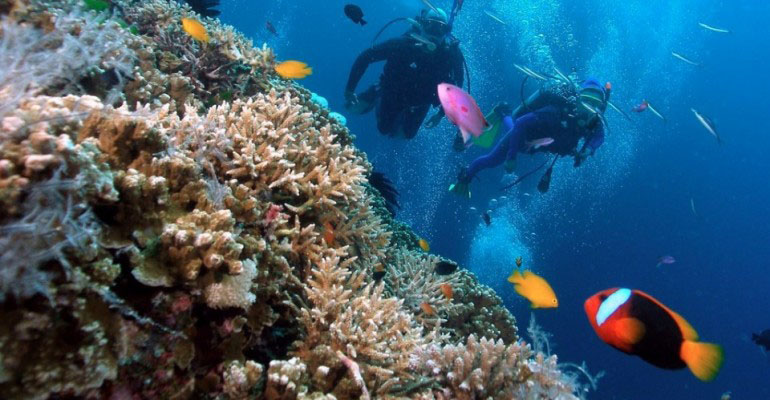 Nota sobre Buceo En Ixtapa