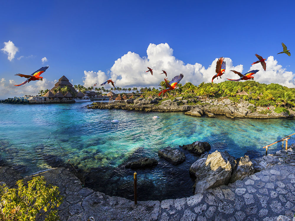 Nota sobre Xcaret un verdadero paraíso acuático