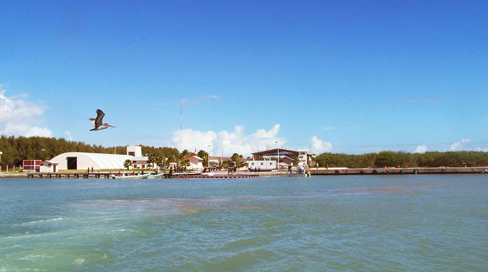 Nota sobre Mágicas playas en Laguna Madre, Tamaulipas