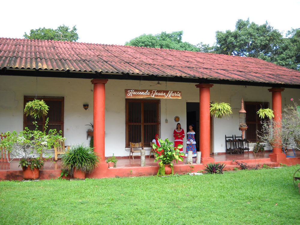 Nota sobre Haciendas productoras de cacao en Tabasco