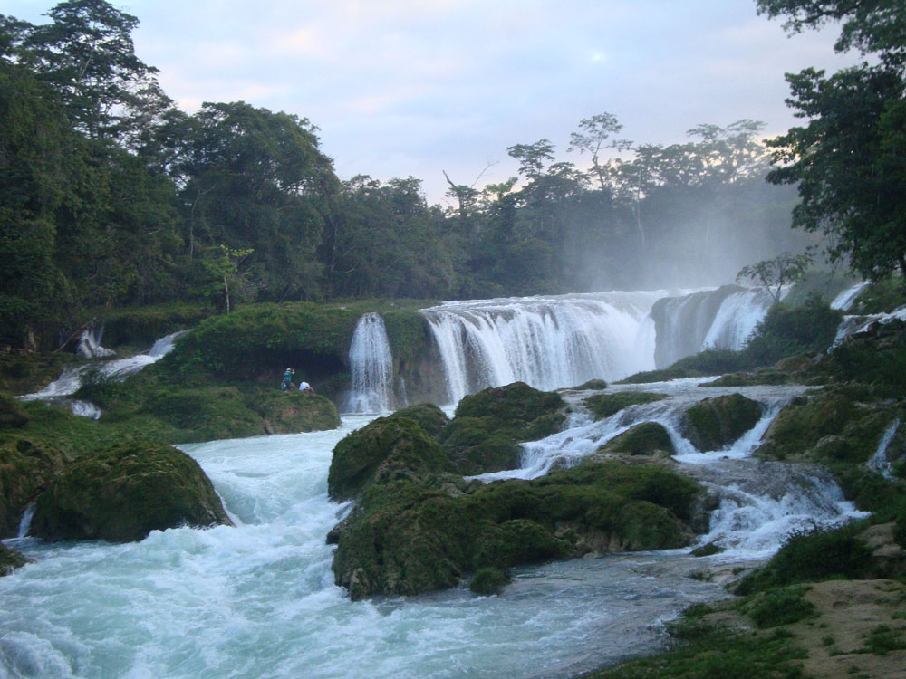 Nota sobre Atractivos turísticos en Chiapas: Las Guacamayas y Lacandonia