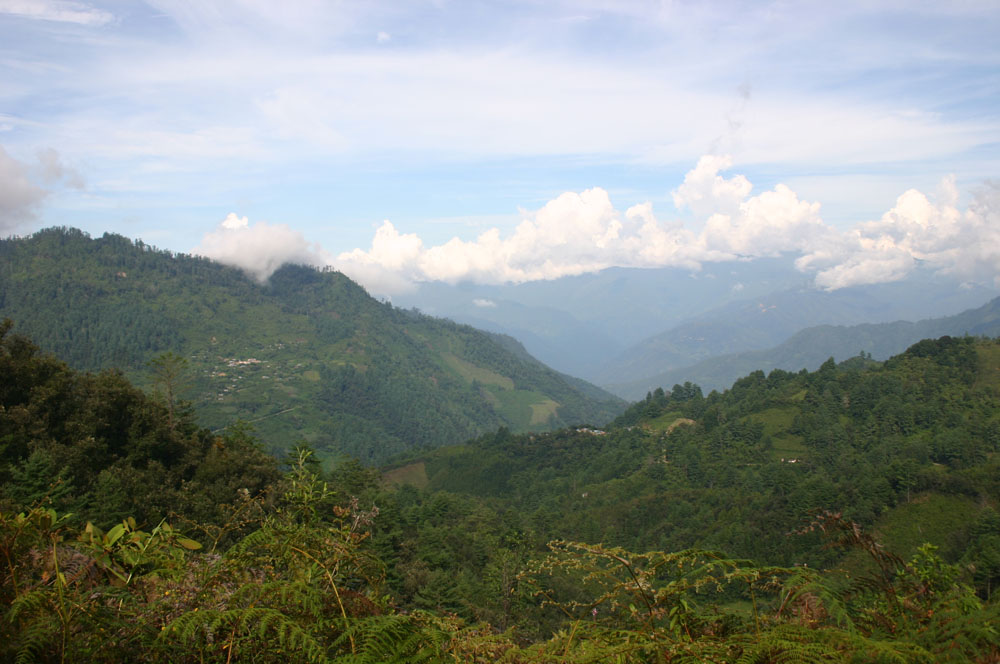 Nota sobre No dejes de recorrer "La ruta de Pueblos Mancomunados de Oaxaca"