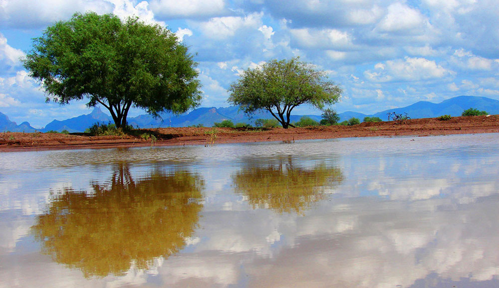 Nota sobre Centro Ecológico del Estado de Sonora CEES