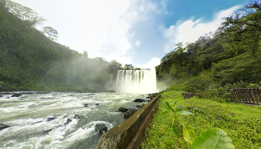 Nota sobre El Acuario del Puerto de Veracruz