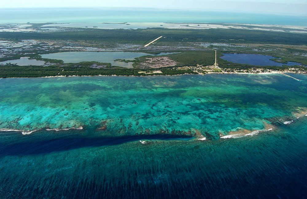 Nota sobre Aviario Xaman-Ha en Playa del Carmen