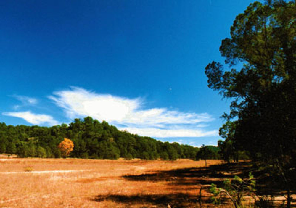 Nota sobre Sierra de Alamos-Rmo Cuchujaqui