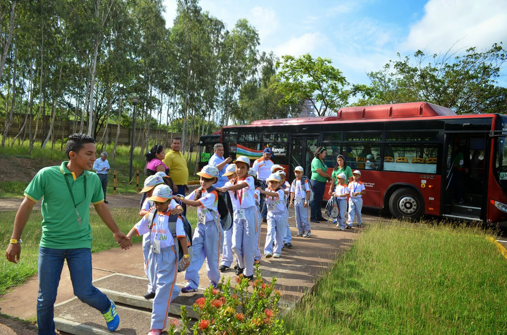 Nota sobre Campamentos Vacacionales, diversión para los niños