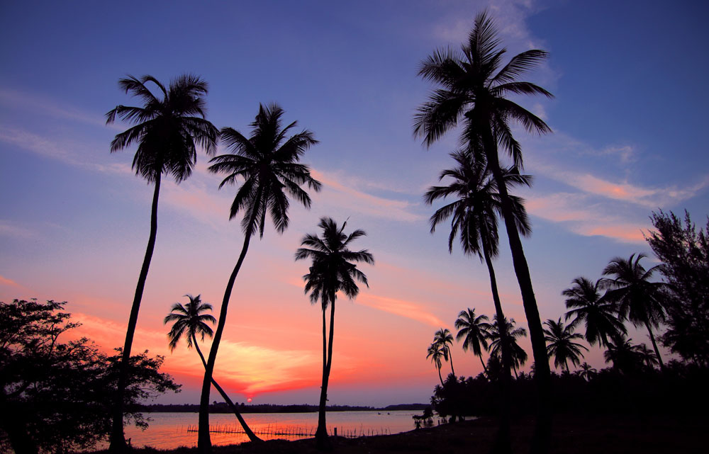 Nota sobre Xcalak, un hermoso rincón caribeño en Mahahual