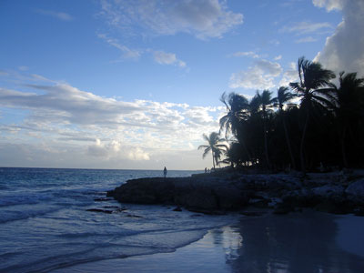 Nota sobre Curso y taller de Ecología Costera Tropical 